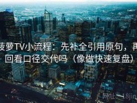 菠萝TV小流程：先补全引用原句，再回看口径交代吗（像做快速复盘）