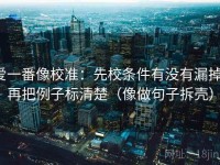 爱一番像校准：先校条件有没有漏掉，再把例子标清楚（像做句子拆壳）